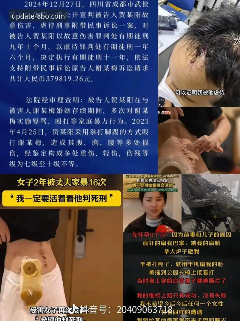 资深用户吴先生分享：从帕尼切利重伤事件，看如何利用专业平台提升世界杯观赛深度