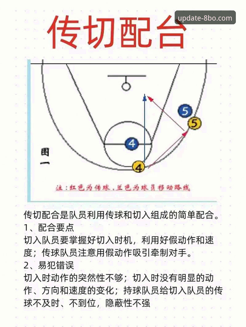 8博体育专业分析 8博体育平台专业分析实用指南 - 新手必备的赛事解读与操作技巧