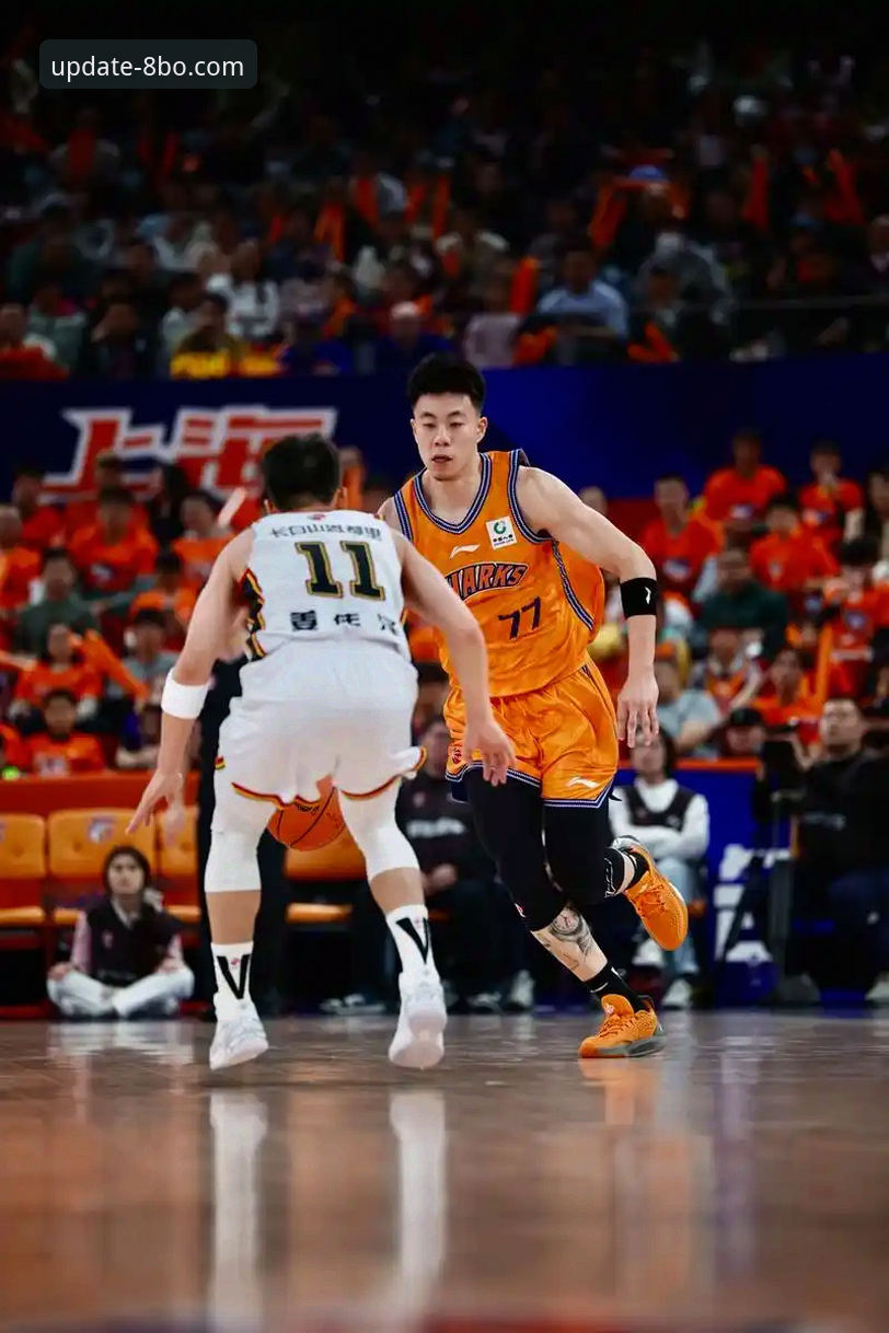 博体育使用教程推荐 揭秘上海男篮12连胜背后的战术革新与数据驱动